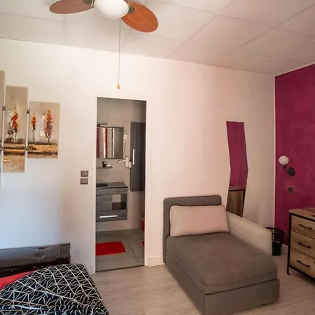 Les Orangers 2* Hyères